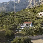 Olive Lounge House *