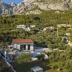 Olive Lounge House