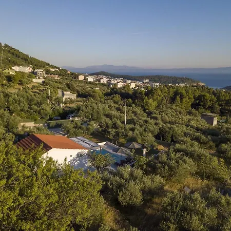 Holiday home Olive Lounge House Makarska