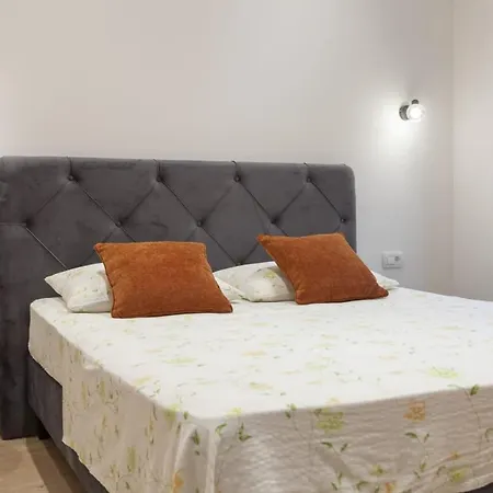 Olive Lounge House *