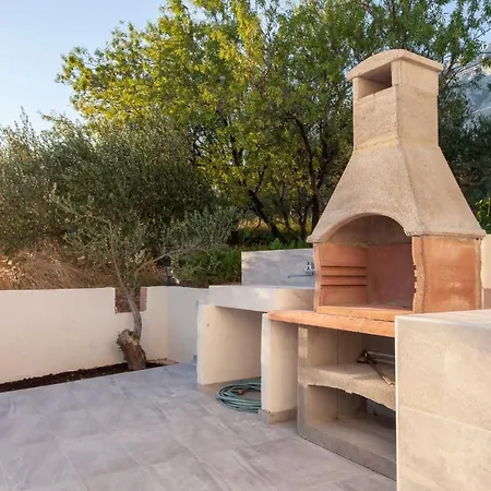 Olive Lounge House *