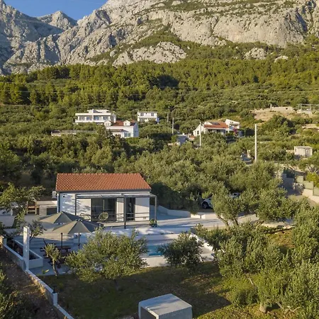 Olive Lounge House
