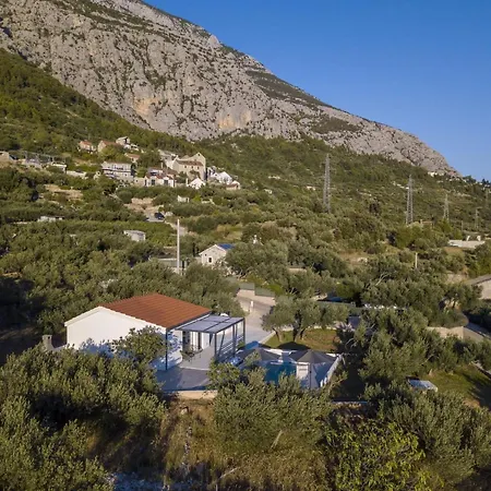 Olive Lounge House Holiday home *