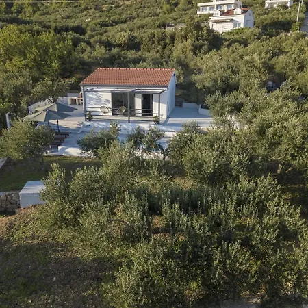 Holiday home Olive Lounge House *