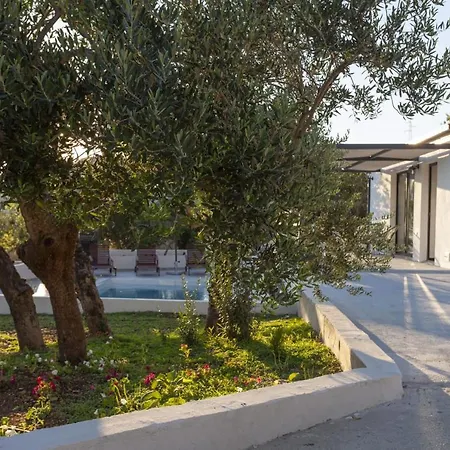 Olive Lounge House בית נופש
