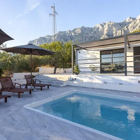 Olive Lounge House *