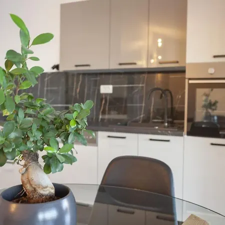 Olive Lounge House Holiday home Makarska