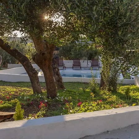 Olive Lounge House
