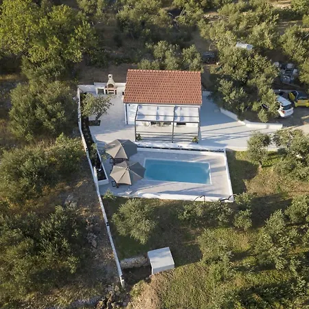 Olive Lounge House *