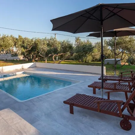 Olive Lounge House