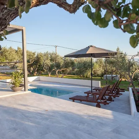 Olive Lounge House Holiday home