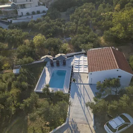 Olive Lounge House